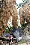 Little Herb among the Palms