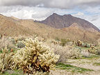 Hellhole Canyon Trail