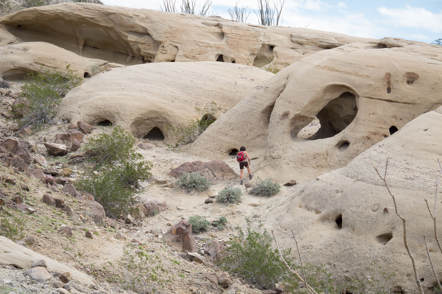 Lolo approaching Wind Caves