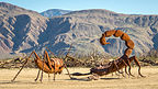 Galleta Meadows - Dueling Scorpions