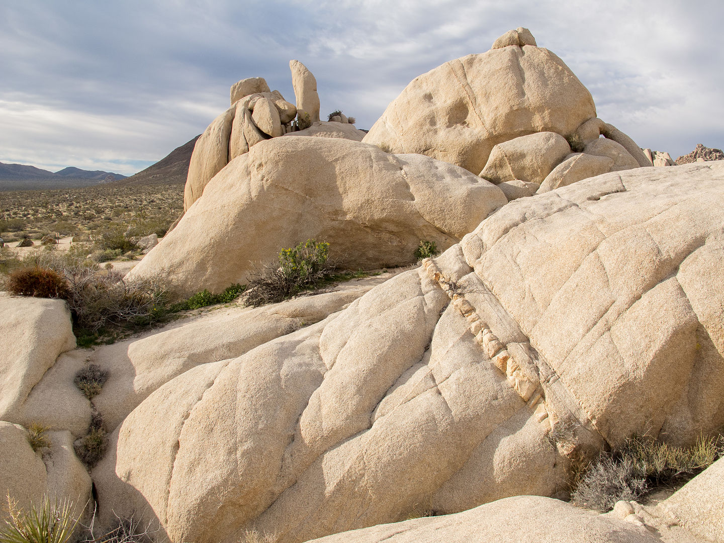 Geology Tour Road