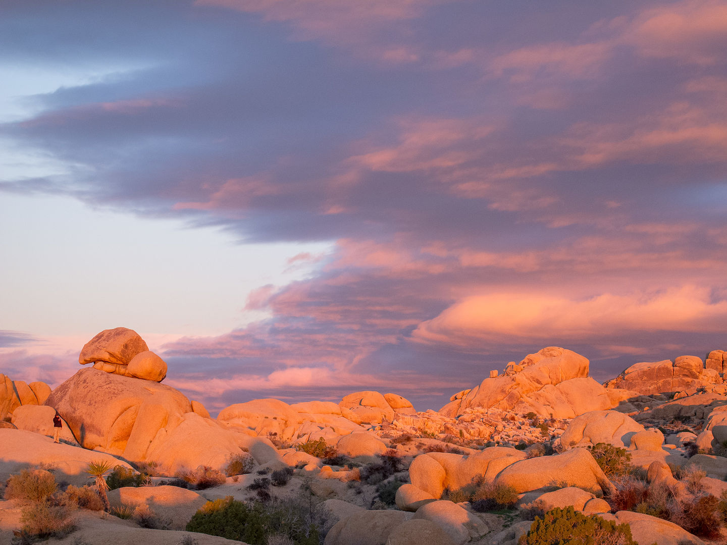 Jumbo Rocks Campground