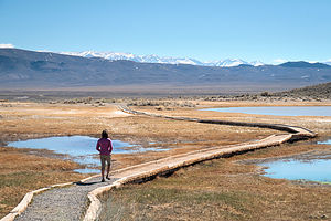 Approach to Crowley's Hot Spring