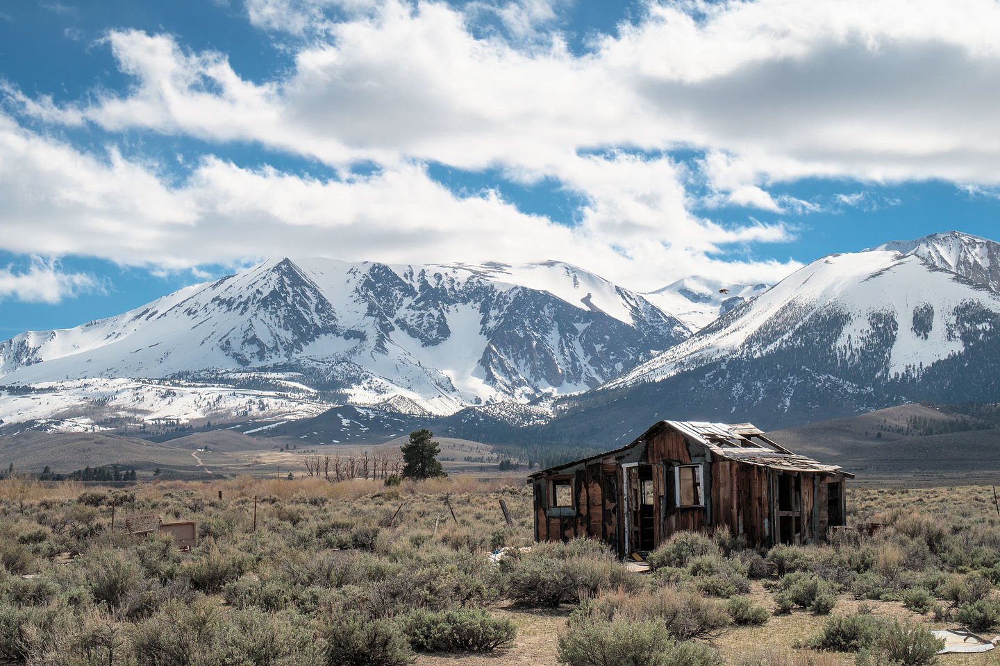 Along 395 near Mammoth Lakes