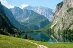 Alpine pasture above Obersee