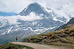 Hiking down to Kleine Scheidegg