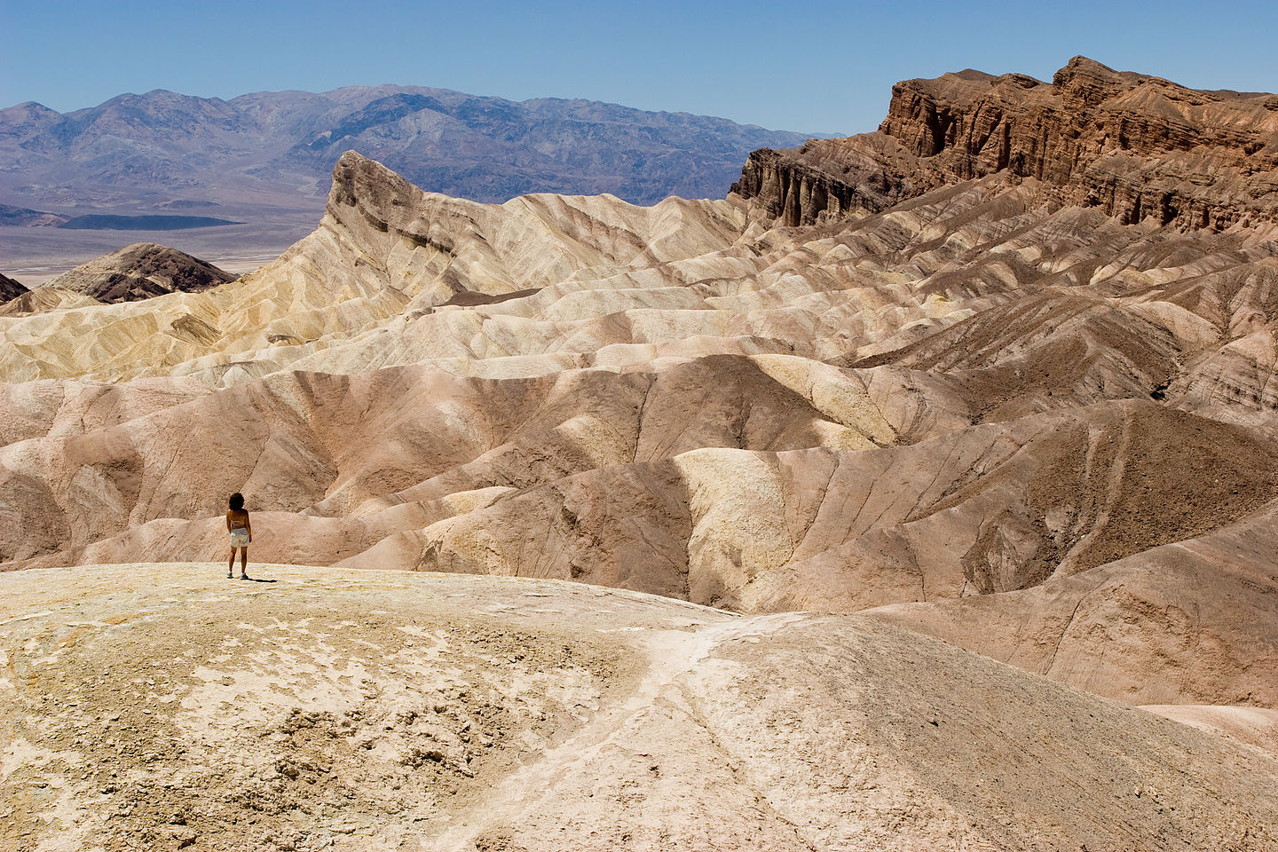 Lolo at Zabriski Point Overlook