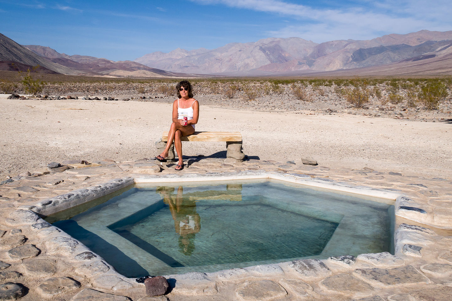 Palm Oasis sunny pool