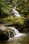 Waterfall in Hawaii Tropical Botanical Garden