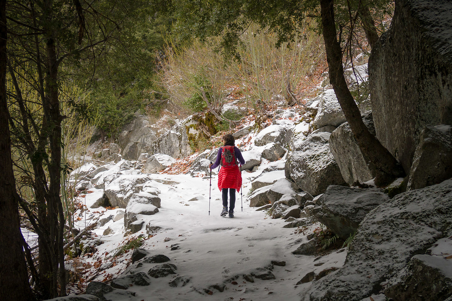 Setting off on Four Mile Trail