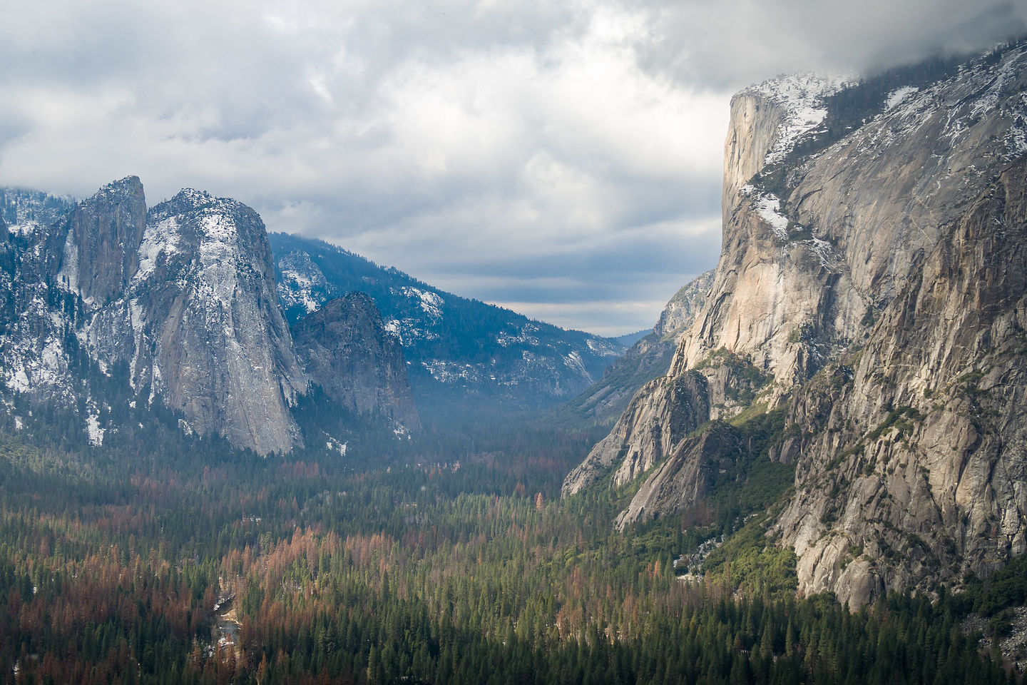 View along Four Mile Trail