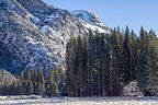 North Dome in snow