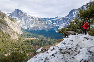 Lolo contemplating the awesomeness of Yosemite