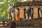 Wat Chang Lom behind hotel