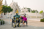 Lolo making friends at the White Temple