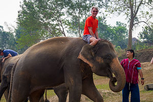 Herb atop his pachyderm