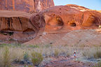 Lolo hiking near Chuckwalla Springs