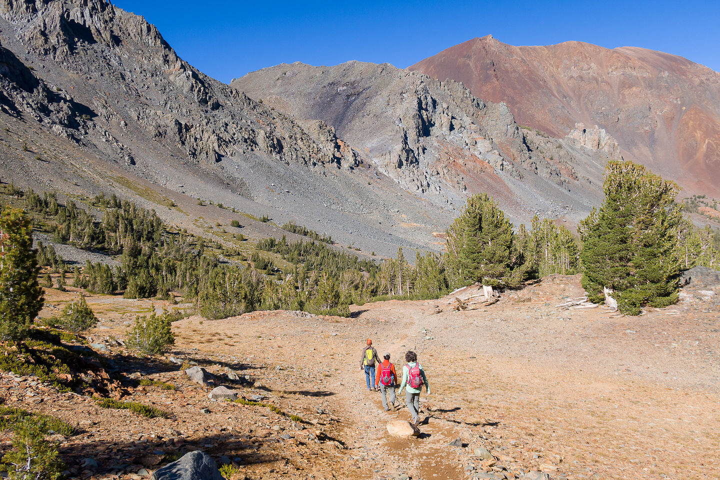 Virginia Lakes Trail