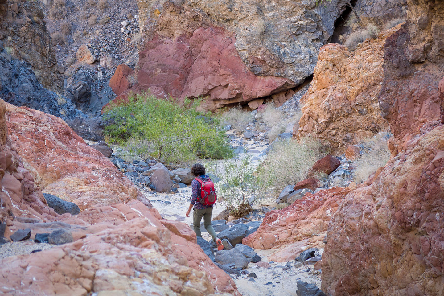 Hike down to Piute Springs