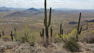 View from Summit