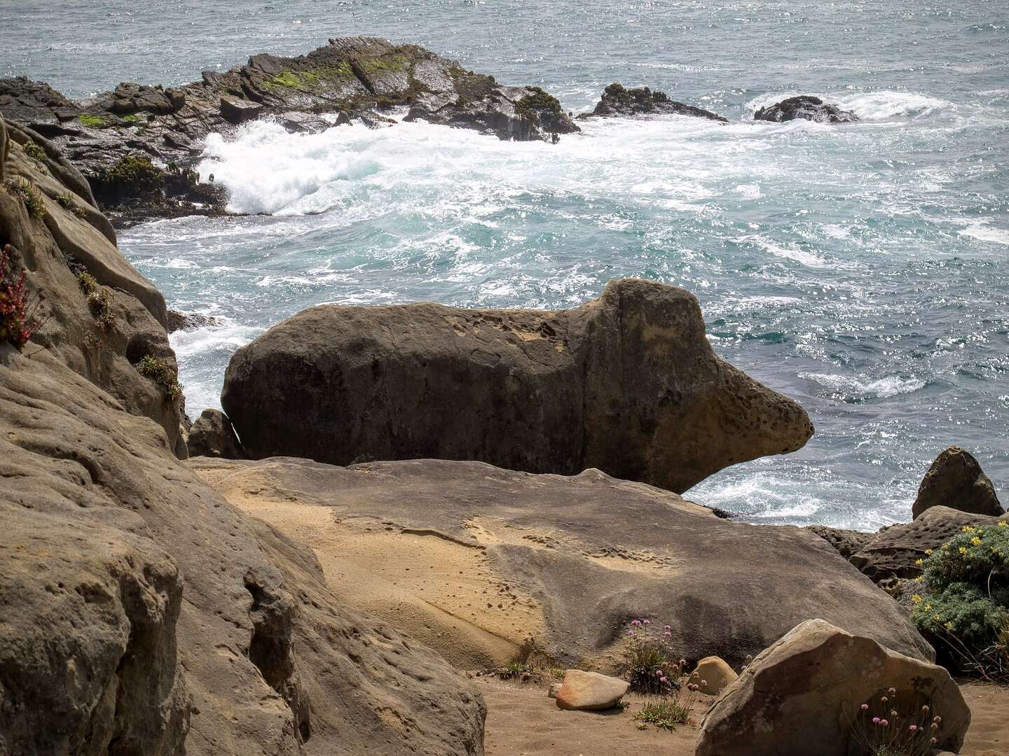 The "Piggy" of Salt Point