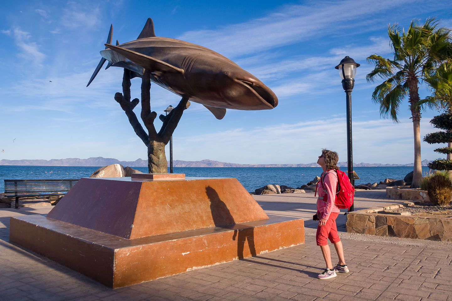 Lolo staring down a Whale Shark statue