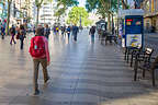 Lolo strolling along the wavy tile work of Las Ramblas