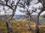 Indian Gorge Lookout along the Steens Mountain Scenic Byway