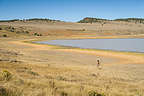 Lolo strolling along Petroglyph Lake