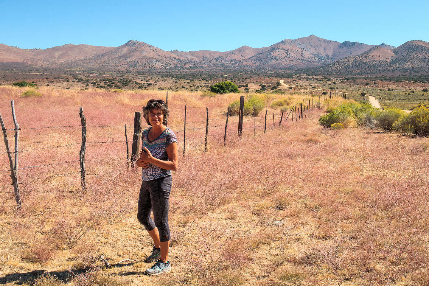 Pretty much out in the middle of nowhere on the Jawbone Canyon Road