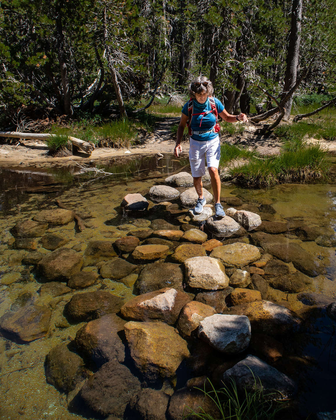 Lolo navigating the Lake Tenaya outlet