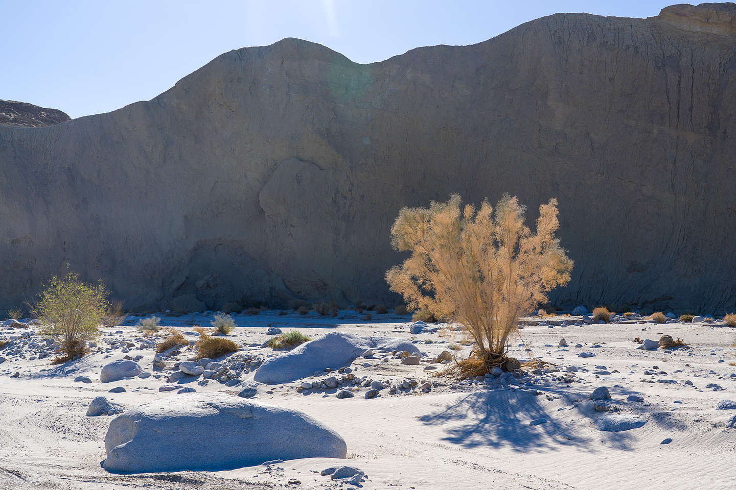 Along the Olla Wash