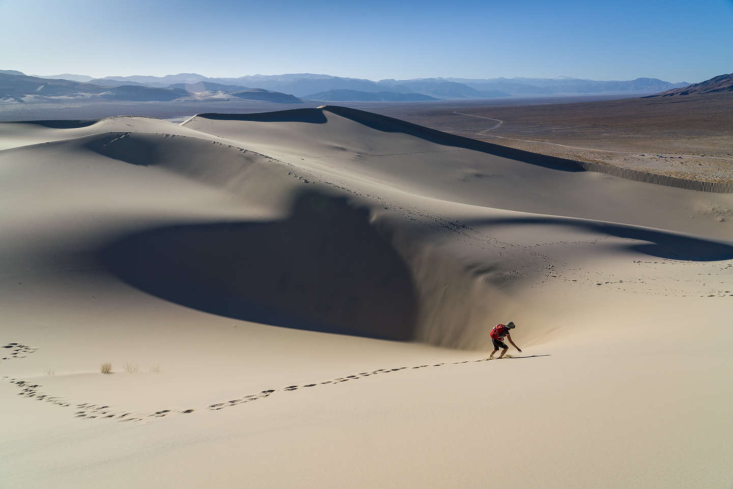 Lolo avoiding a black hole on Eureka Dunes