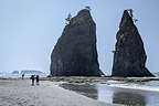 Rialto Beach