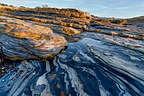 Weston Beach - Point Lobos