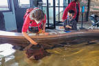 Lolo playing with the Bat Rays