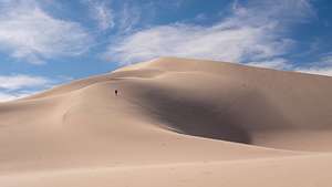 Lolo heading up the steep ridge of the Panamint Sand Dunes