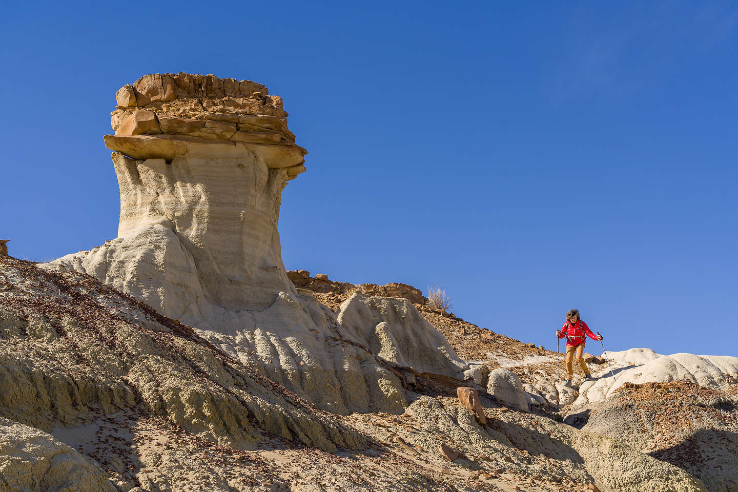 North Bisti Badlands