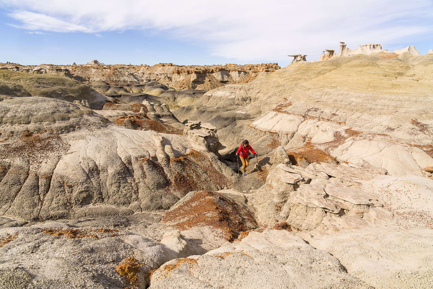 North Bisti Badlands