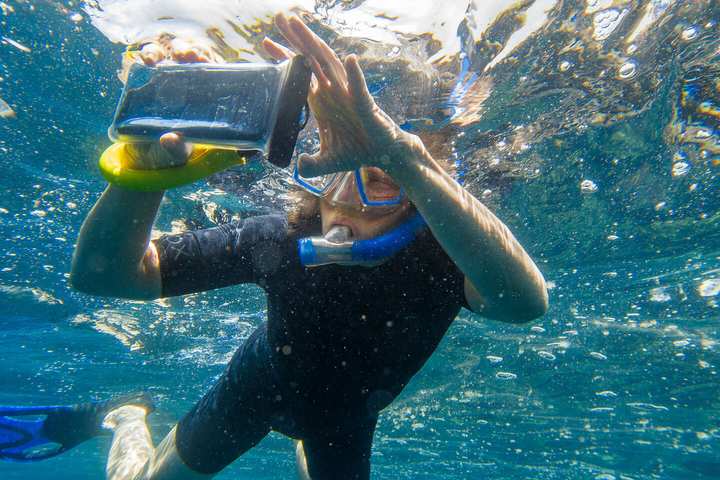 Snorkel Time!