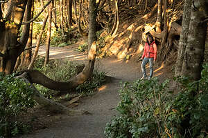 Along the Lighthouse Loop