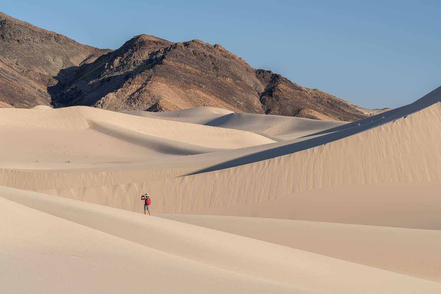 Lolo on Ibex Dunes