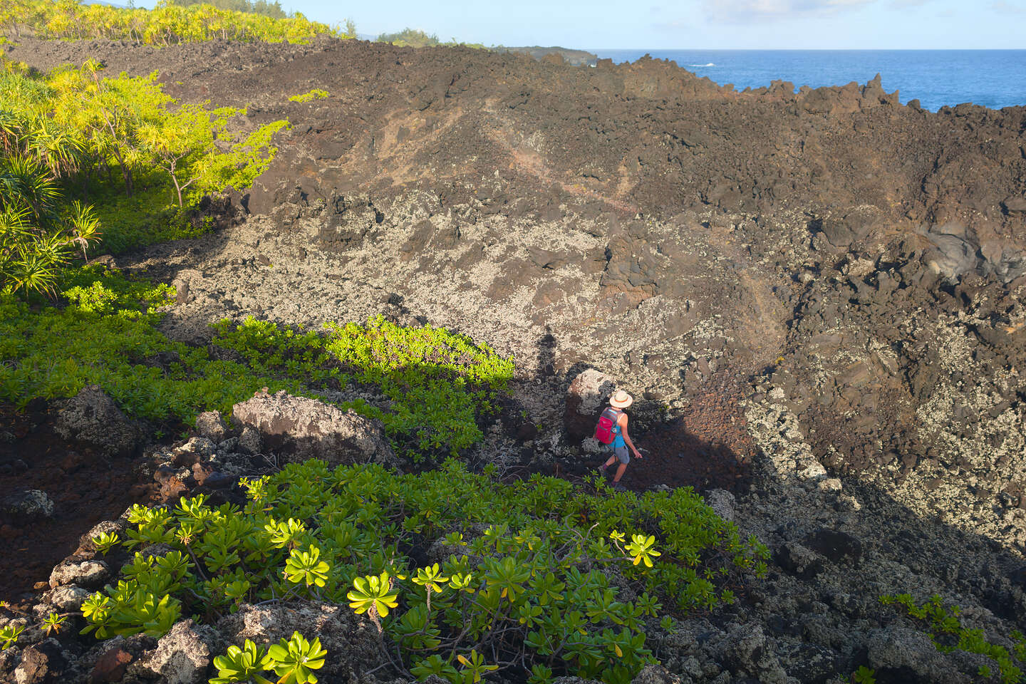 Along the Kipapa O Kihapiilani Trail