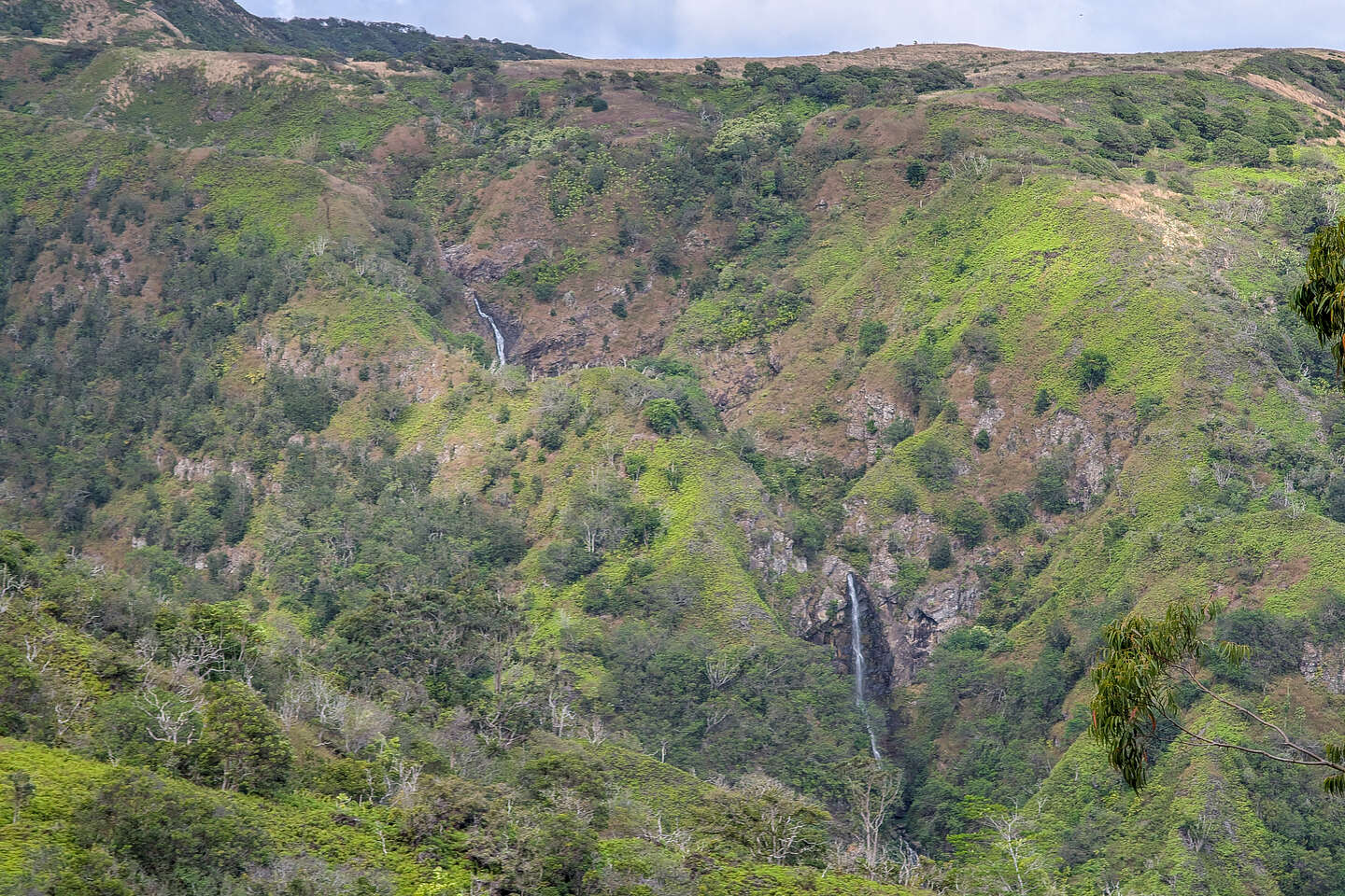 Makamakaole Falls