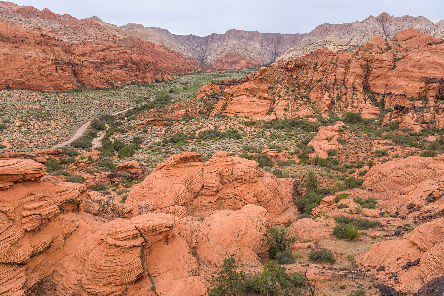 View from Hidden Pinyon Overlook