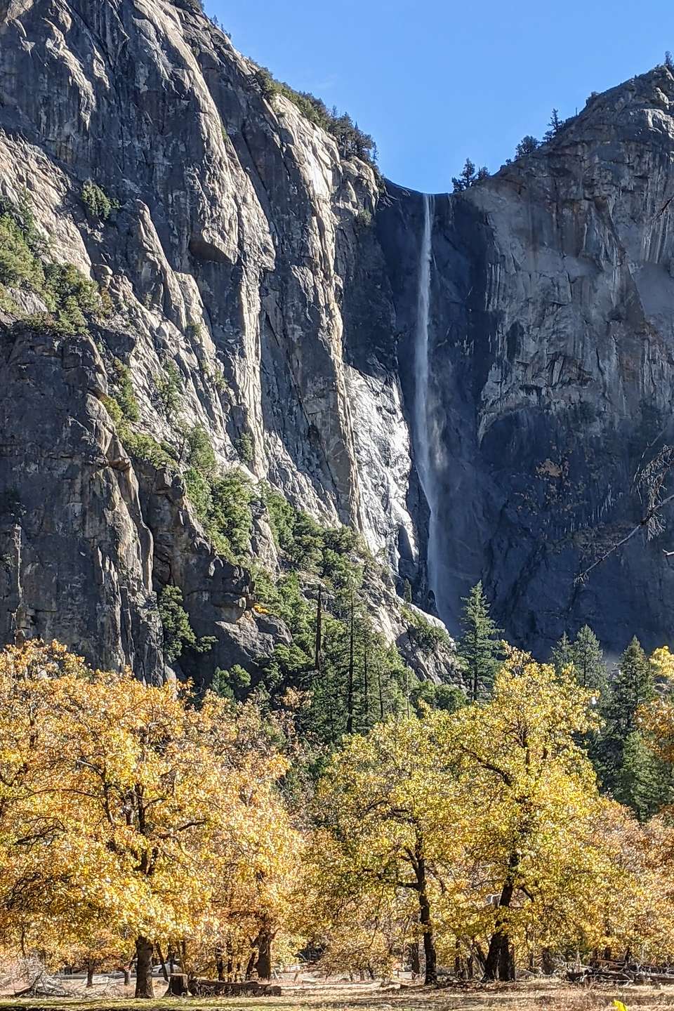 Bridalveil Falls