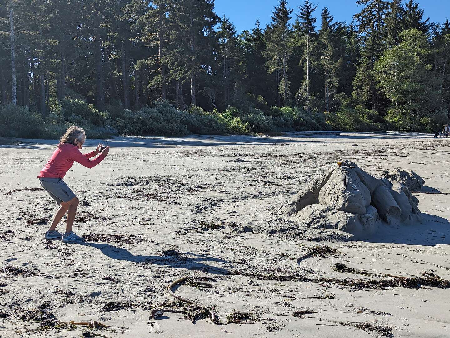 Mackenzie Beach Rhino