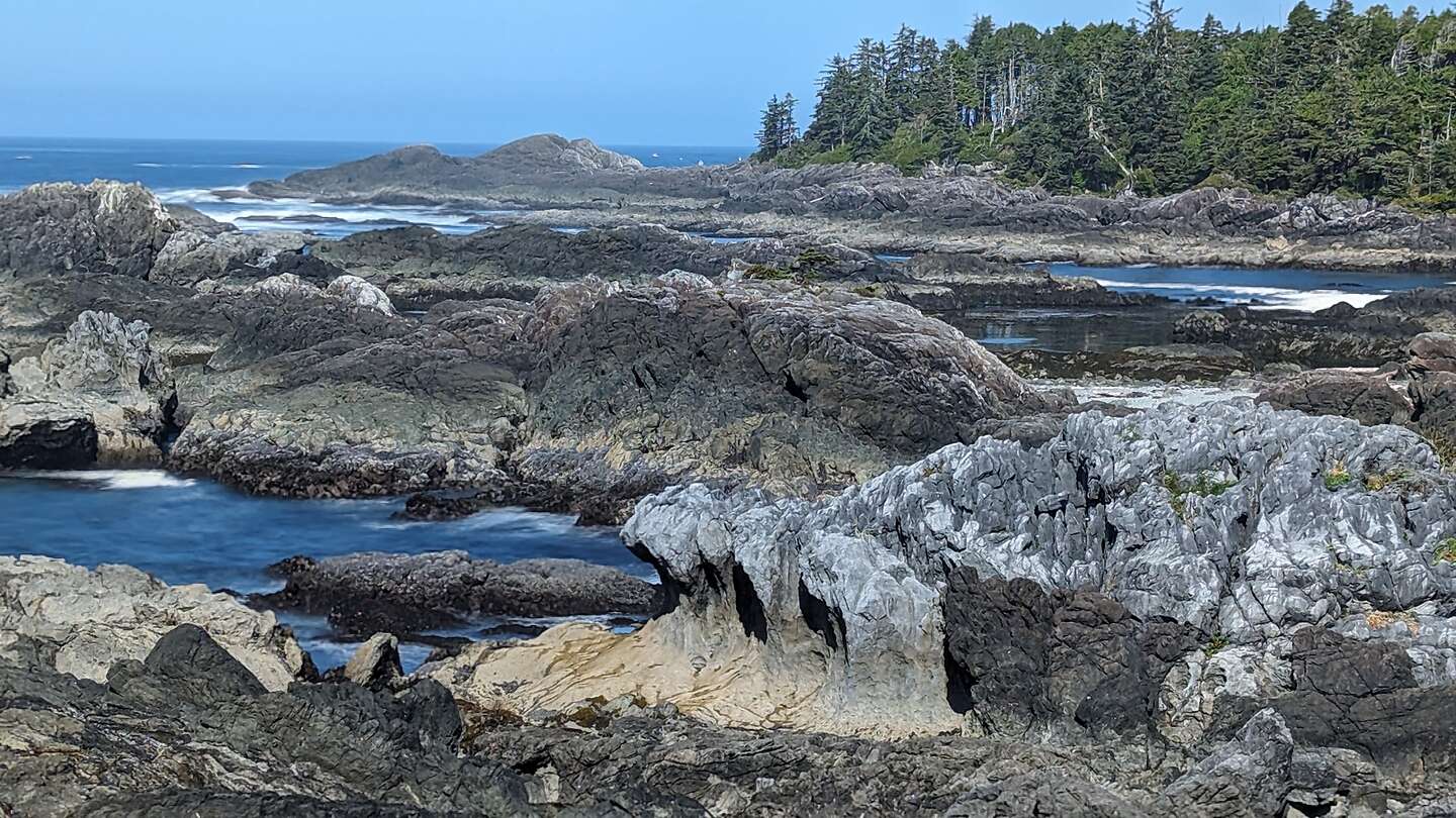 Scouting out the wave for sunset