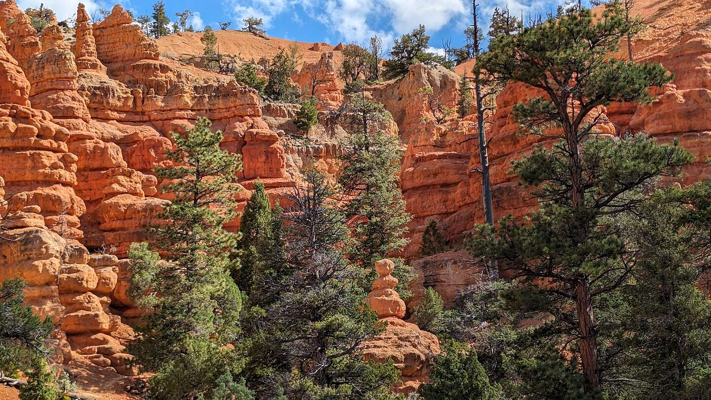 Red Canyon State Park