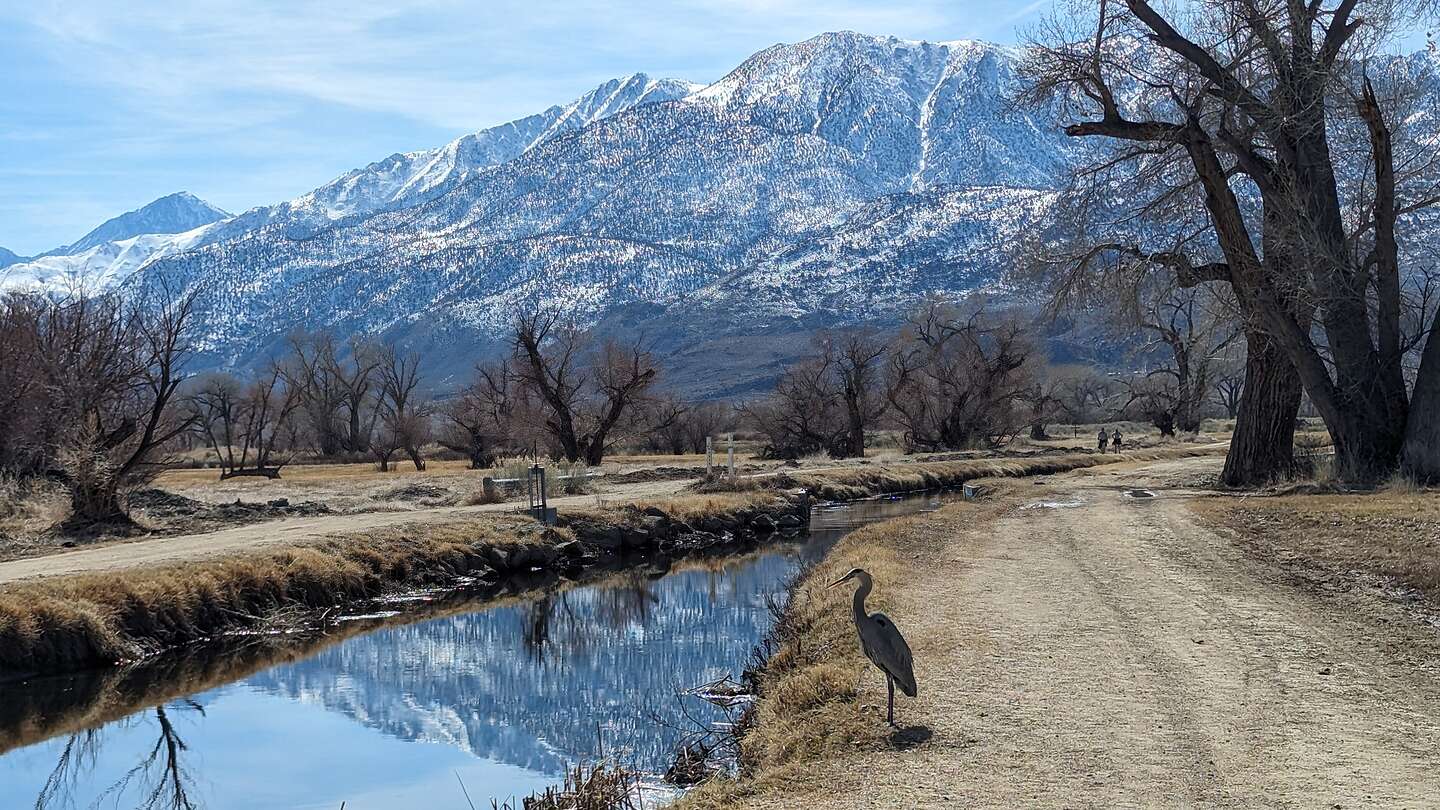 Along the Bishop Canal